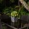 18" LED UV Resistant Boxwood Ball Topiary in Decorative Planter